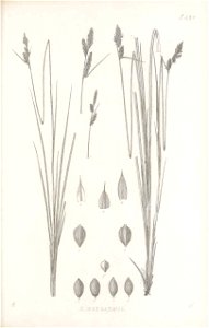 n172_w1150