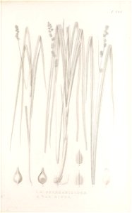 n198_w1150