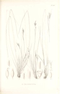 n142_w1150