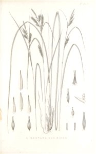 n108_w1150