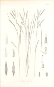n186_w1150