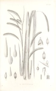 n156_w1150