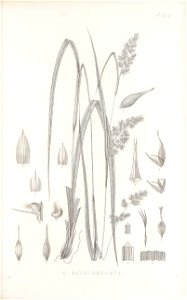 n126_w1150