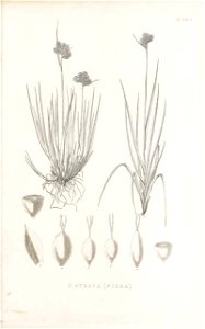 n136_w1150
