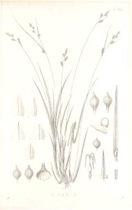 n214_w1150