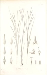 n184_w1150