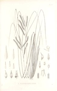 n154_w1150