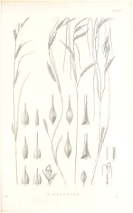 n94_w1150