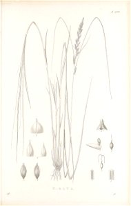 n400_w1150