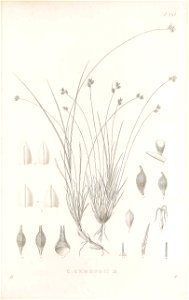n212_w1150