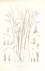 n182_w1150