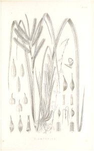 n152_w1150