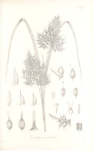 n122_w1150