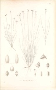 n488_w1150