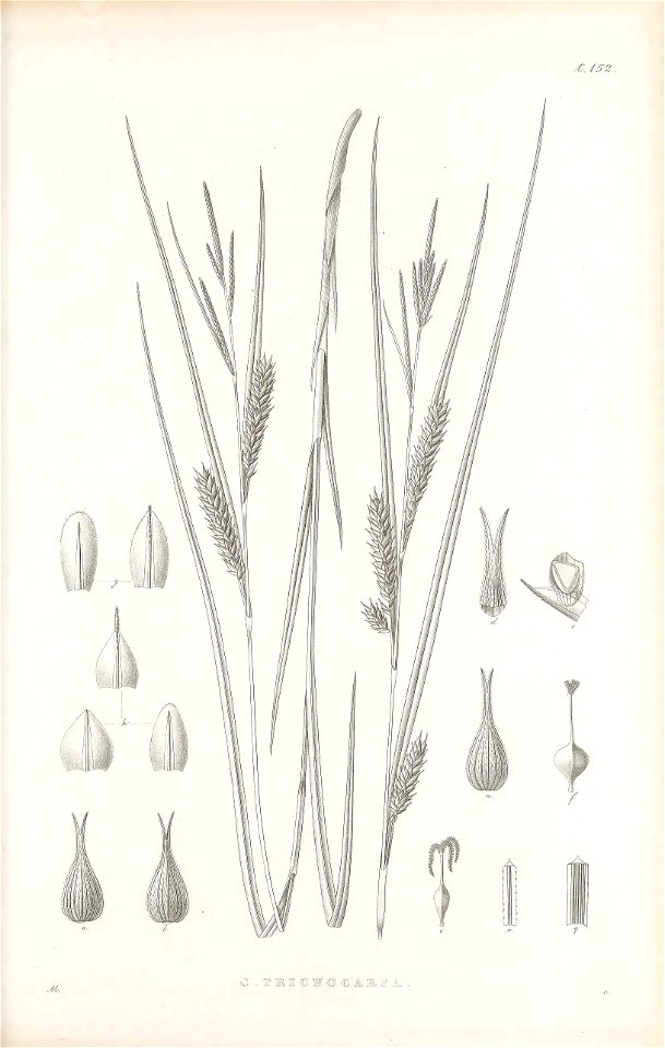 n398_w1150
