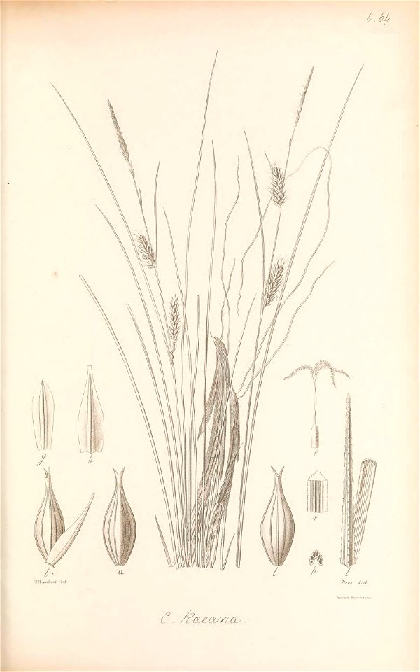 n218_w1150