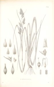 n158_w1150