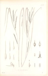 n456_w1150