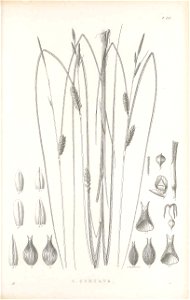 n396_w1150