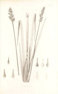 n190_w1150