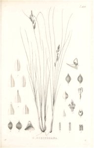 n134_w1150