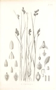 n160_w1150