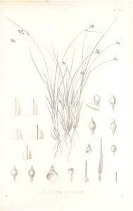 n208_w1150