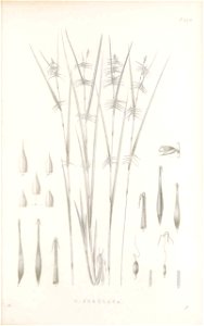 n178_w1150