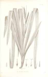 n148_w1150