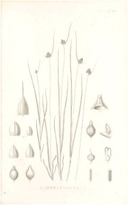 n58_w1150