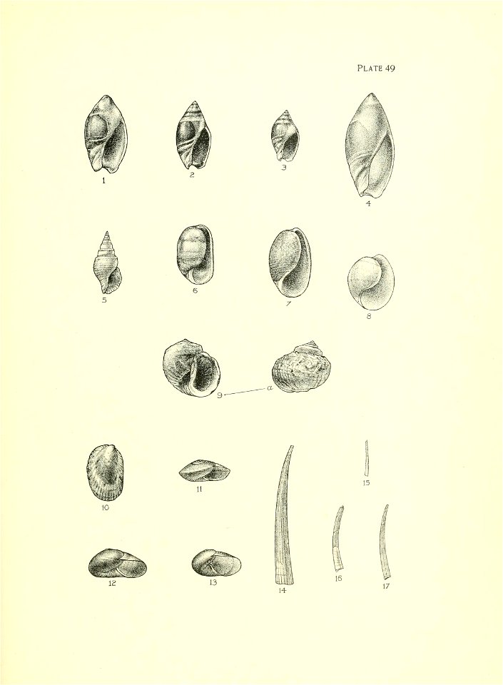 n204_w1150