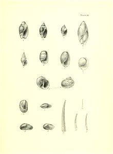 n204_w1150