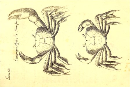 n302_w1150
