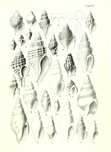 n84_w1150