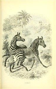 n674_w1150