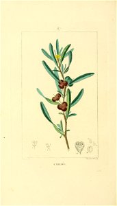 n173_w1150