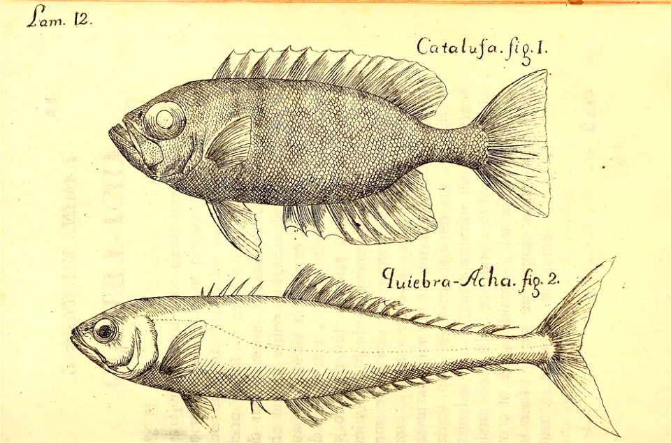 n62_w1150