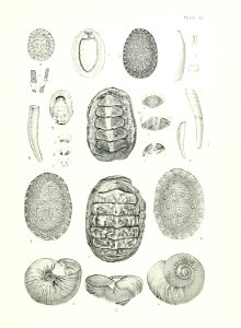 n136_w1150