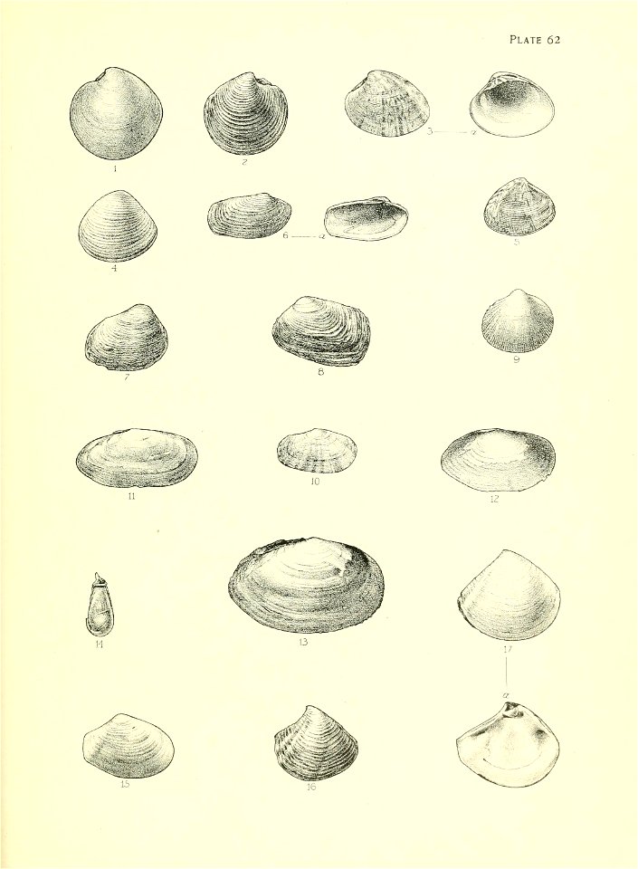 n256_w1150