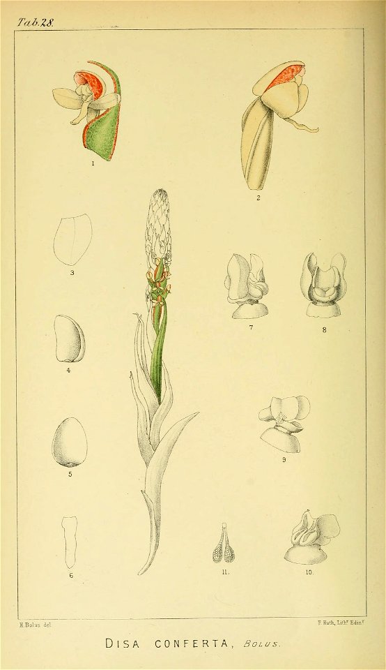 n127_w1150
