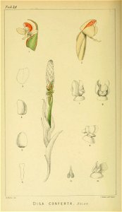 n127_w1150
