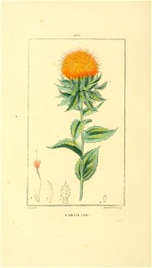 n243_w1150