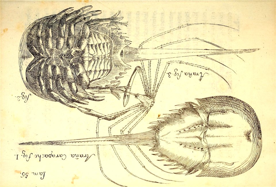 n289_w1150