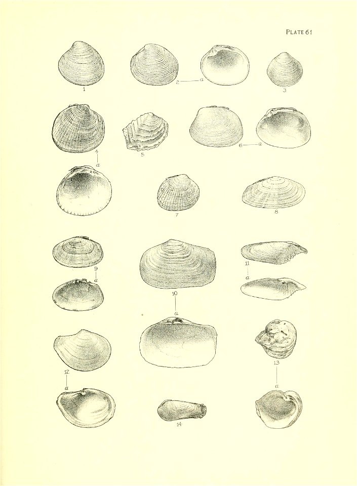 n252_w1150