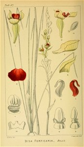 n365_w1150