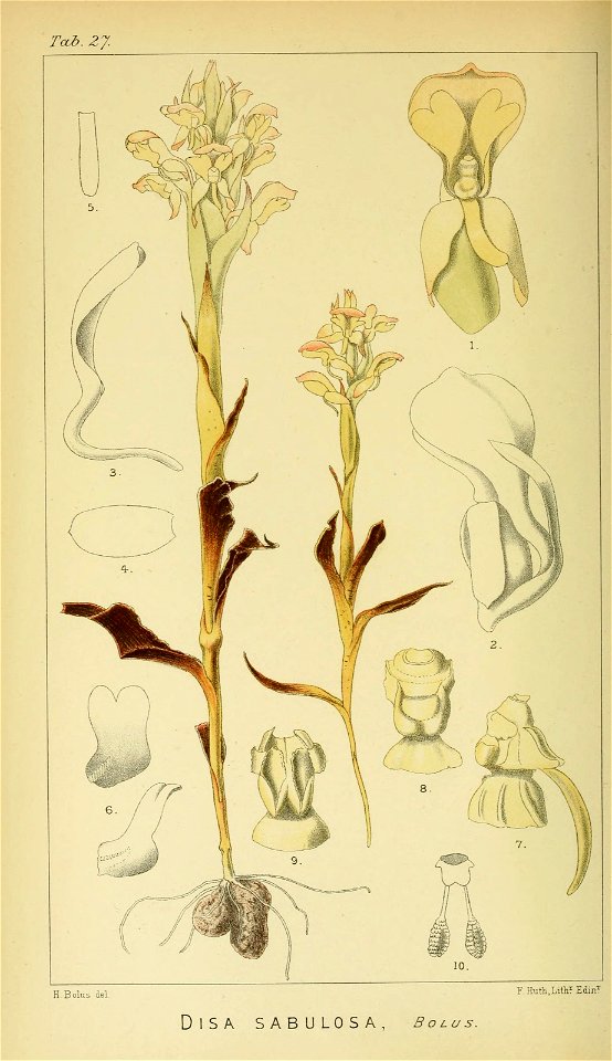 n123_w1150