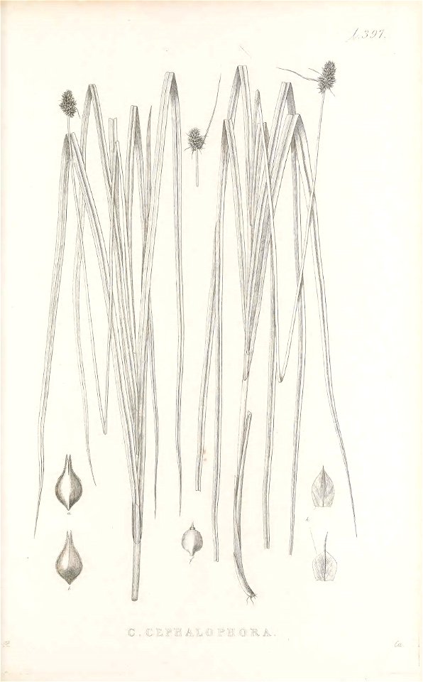 n204_w1150