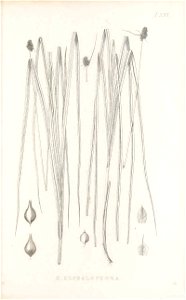 n204_w1150