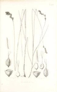 n174_w1150