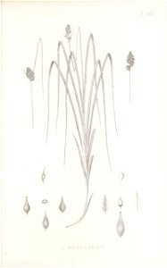 n144_w1150